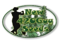 New420Guy Seeds