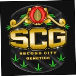 Second City Genetics