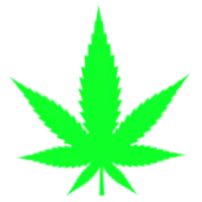 Cannabis Pharmuk