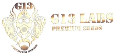 G13 Labs