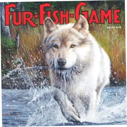 Fur Fish Game