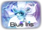 Blue Iris