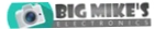 Big Mike'S Electronics