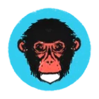 Polar Monkeys