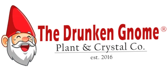 The Drunken Gnome