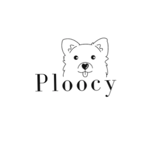 Ploocy