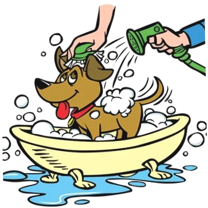 All Paws Pet Wash