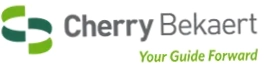 Hearing Aid Batteries