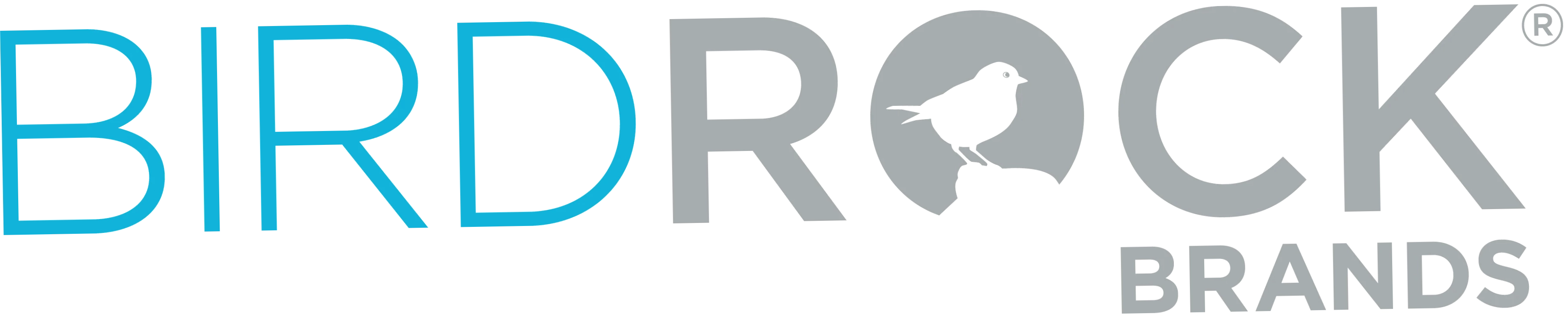 BirdRock Home