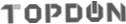 Topdon Scanner