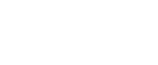 Village Realty