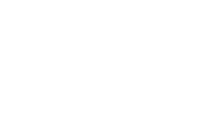 The Williamsburg Hotel