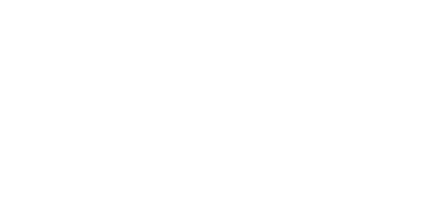 Hotel Drover