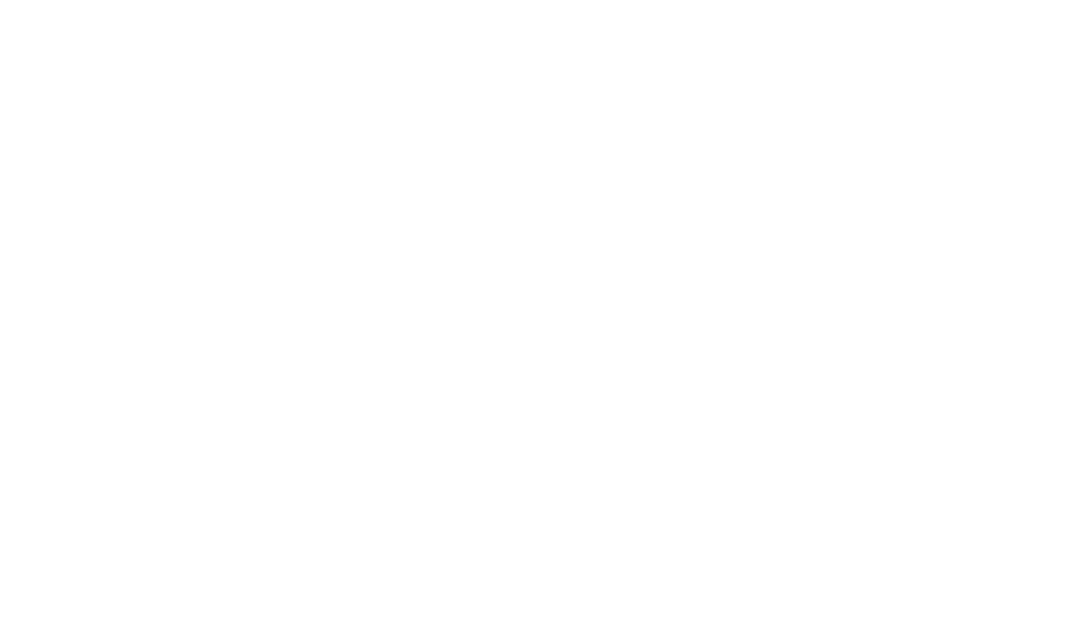 Camp Of The Woods