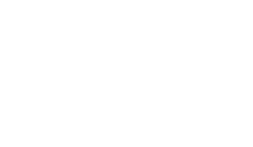 Lotte Hotel