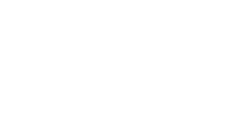 Center Hotels