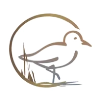 Sandpiper Port Aransas
