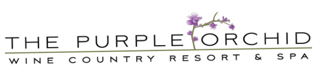 Purple Orchid