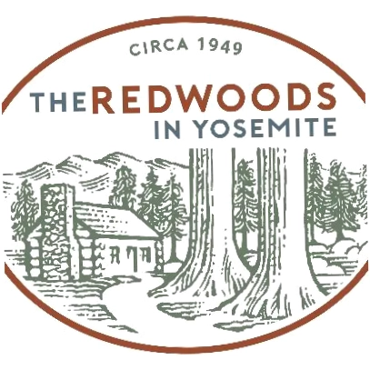 Redwoods In Yosemite