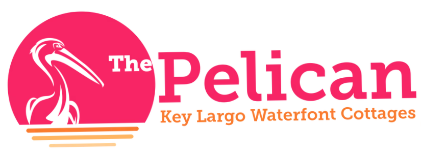 Pelican Key Largo