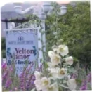 Yelton Manor