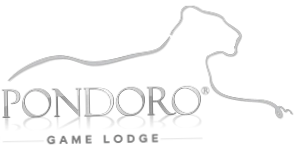 Pondoro Game Lodge