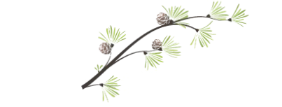 Sierra Mountain Inn