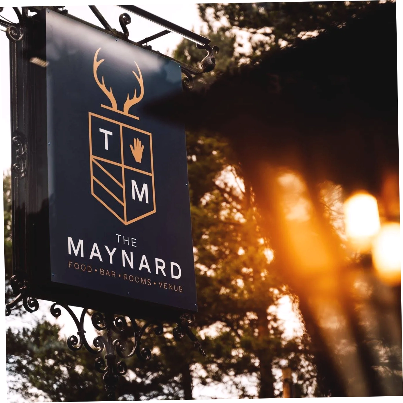The Maynard
