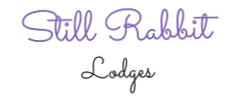 STILL RABBIT
