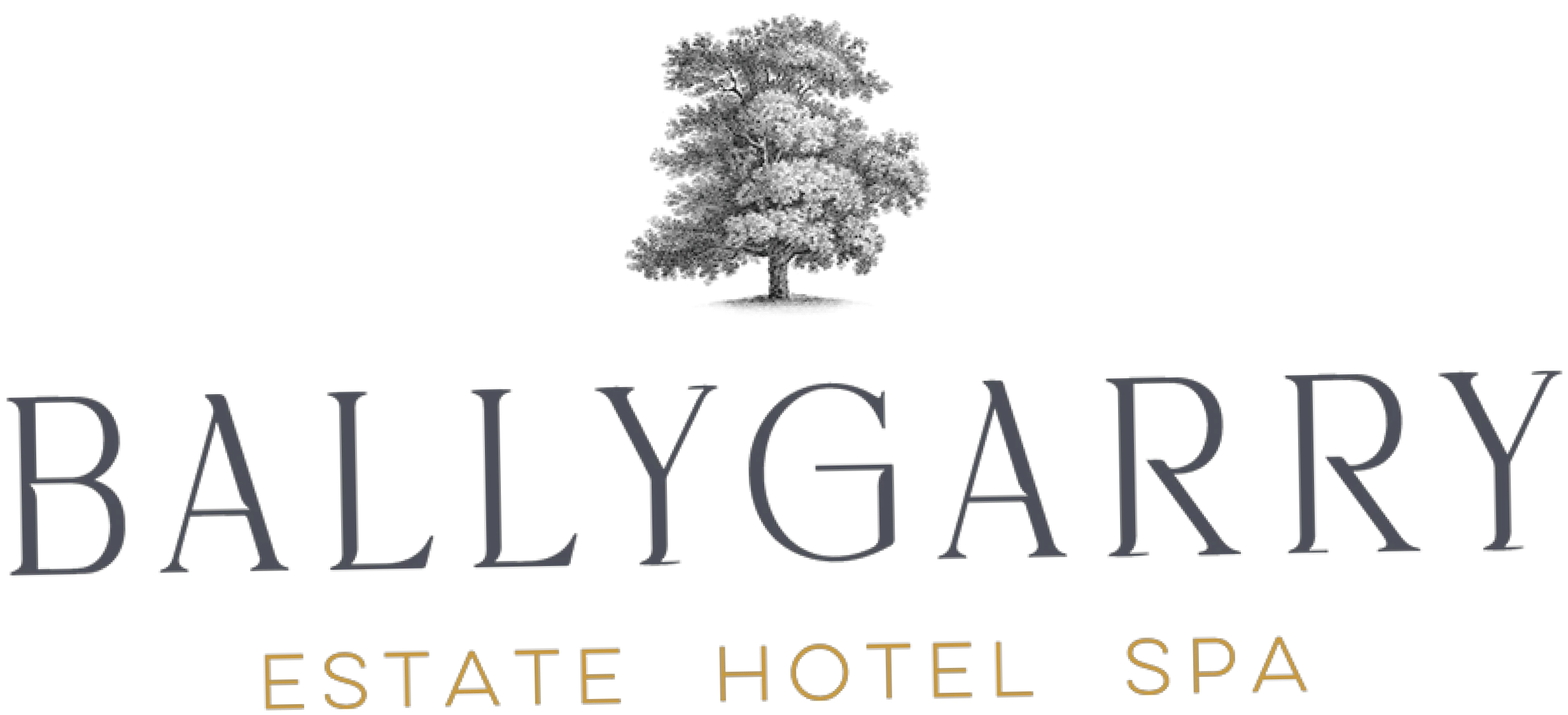 Ballygarry House