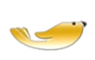 Golden Bird