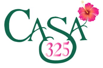 Casa 325