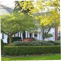 Wickwood Inn