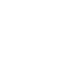 Breezy Palms