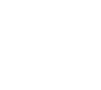 Snowy Mountain Lodge