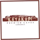 Kayakapi