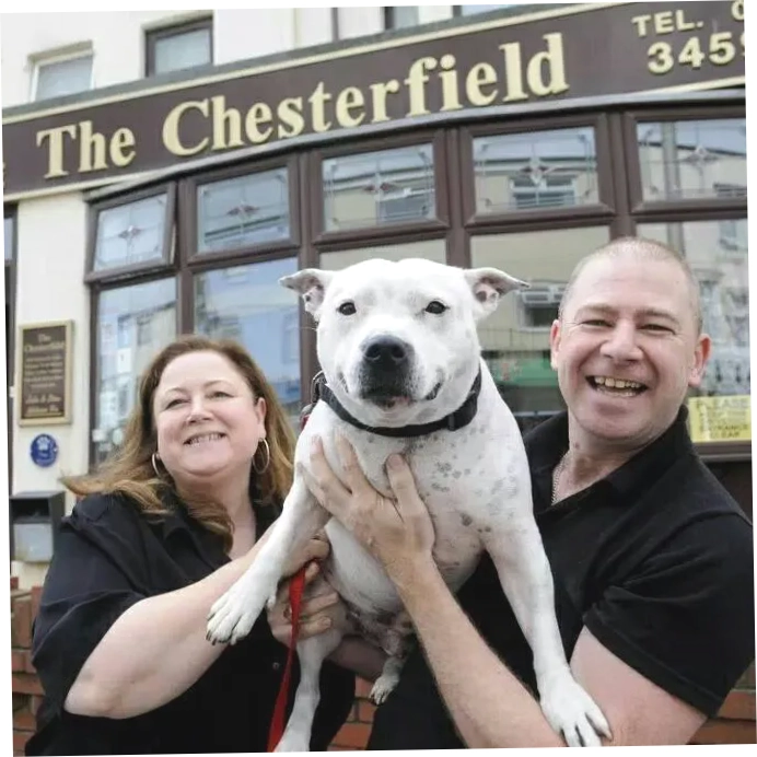 Chesterfield Hotel