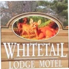 Whitetail Lodge