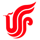AirChina US