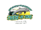 Chase N Fins