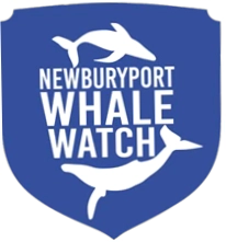 Newburyport Whale Watch