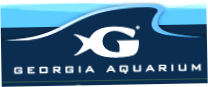 Georgia Aquarium