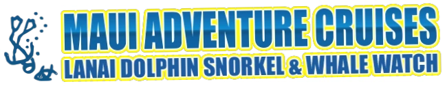 Maui Adventure Cruises
