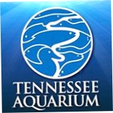 Tennessee Aquarium