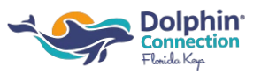 Dolphin Connection