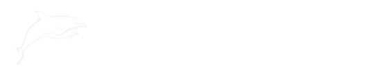 City Sightseeing Orlando