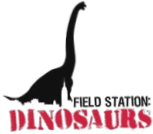 Field Station Dinosaurs