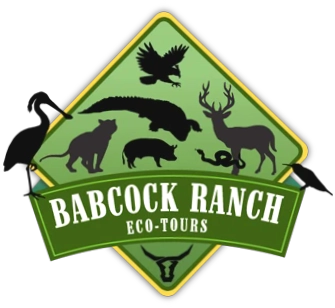 Babcock Ranch Eco Tours