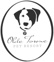Olde Towne Pet Resort