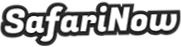 SafariNow